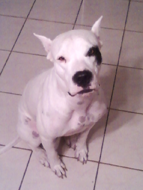 MY BABY GIRL BIANCA 