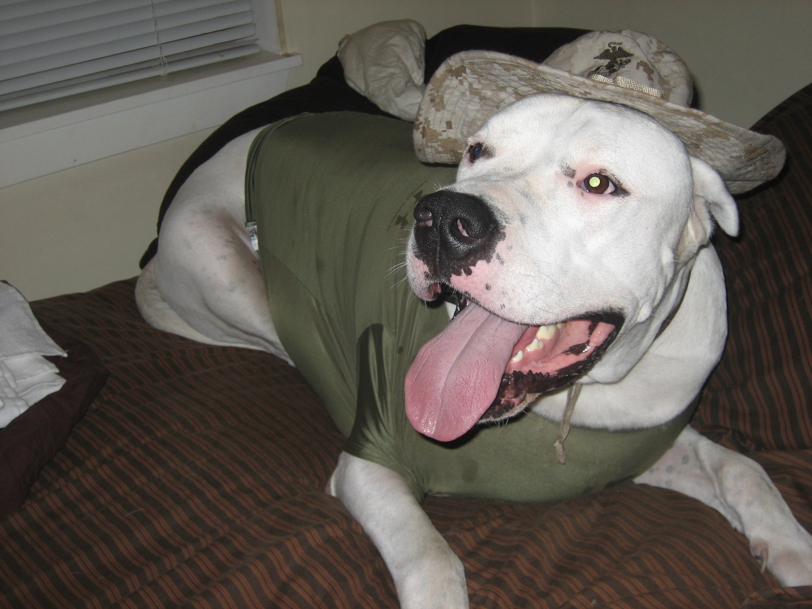Cadence in uniform 